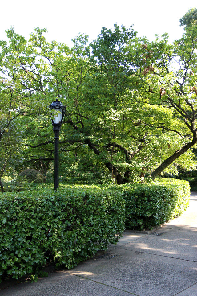 Central Park Conservatory Garden path