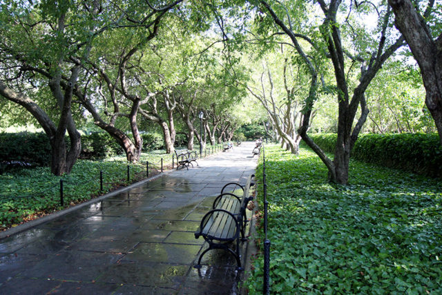 Central Park Conservatory Garden benches