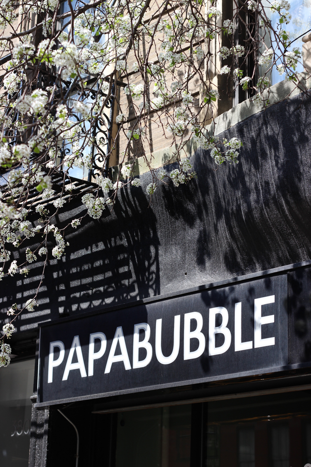 papabubble 27 (1 of 1)