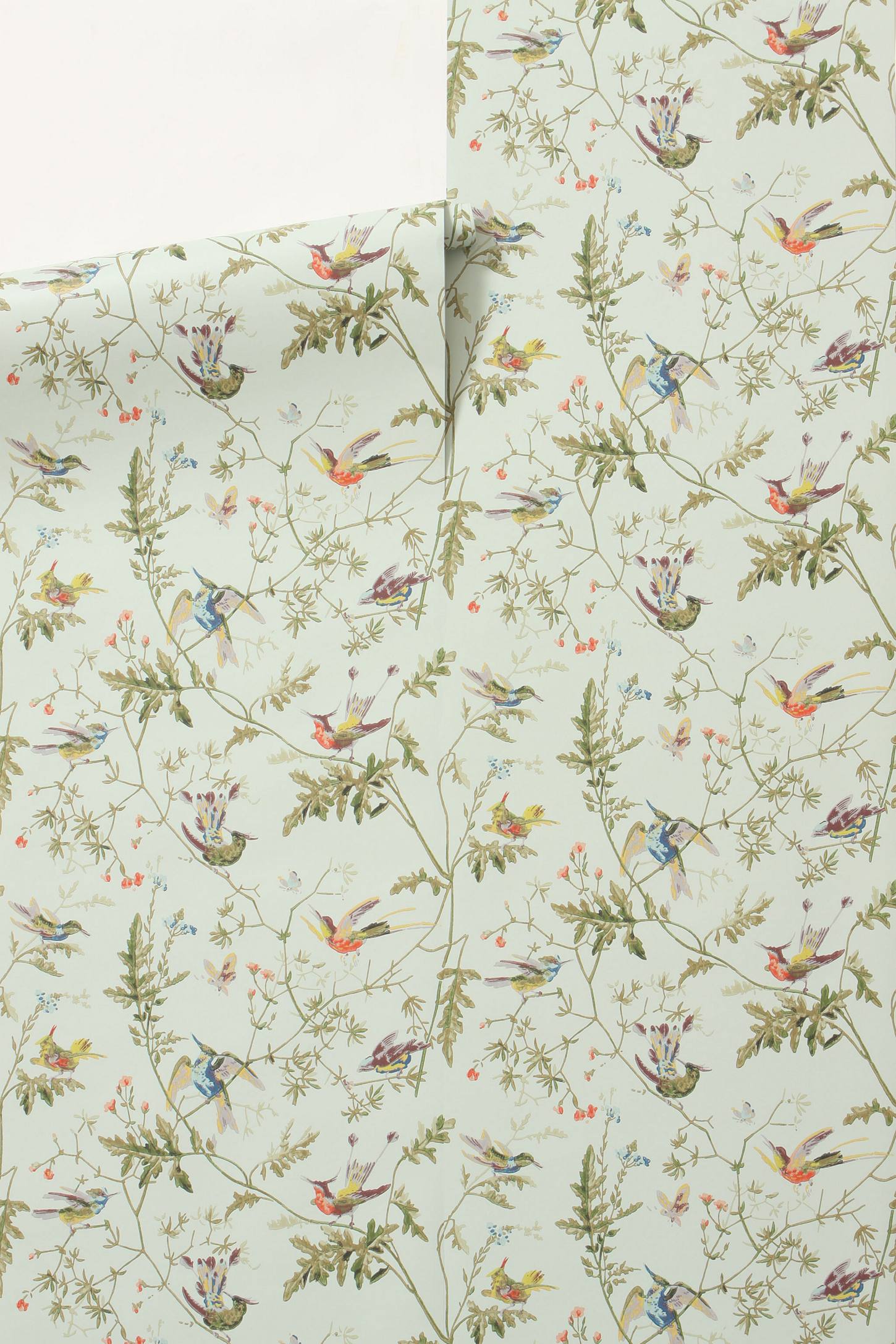 Anthropologie hummingbirds wallpaper featured by top US interior design blog, York Avenue