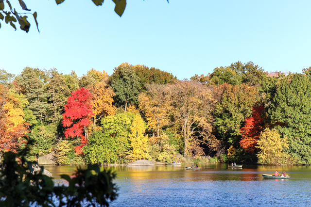 autumn in central park-9514