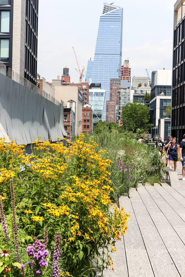 the high line-4068