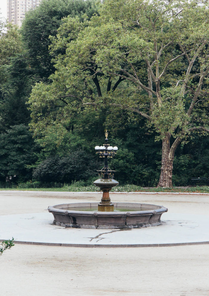 Photo Essays: Early Morning in Central Park