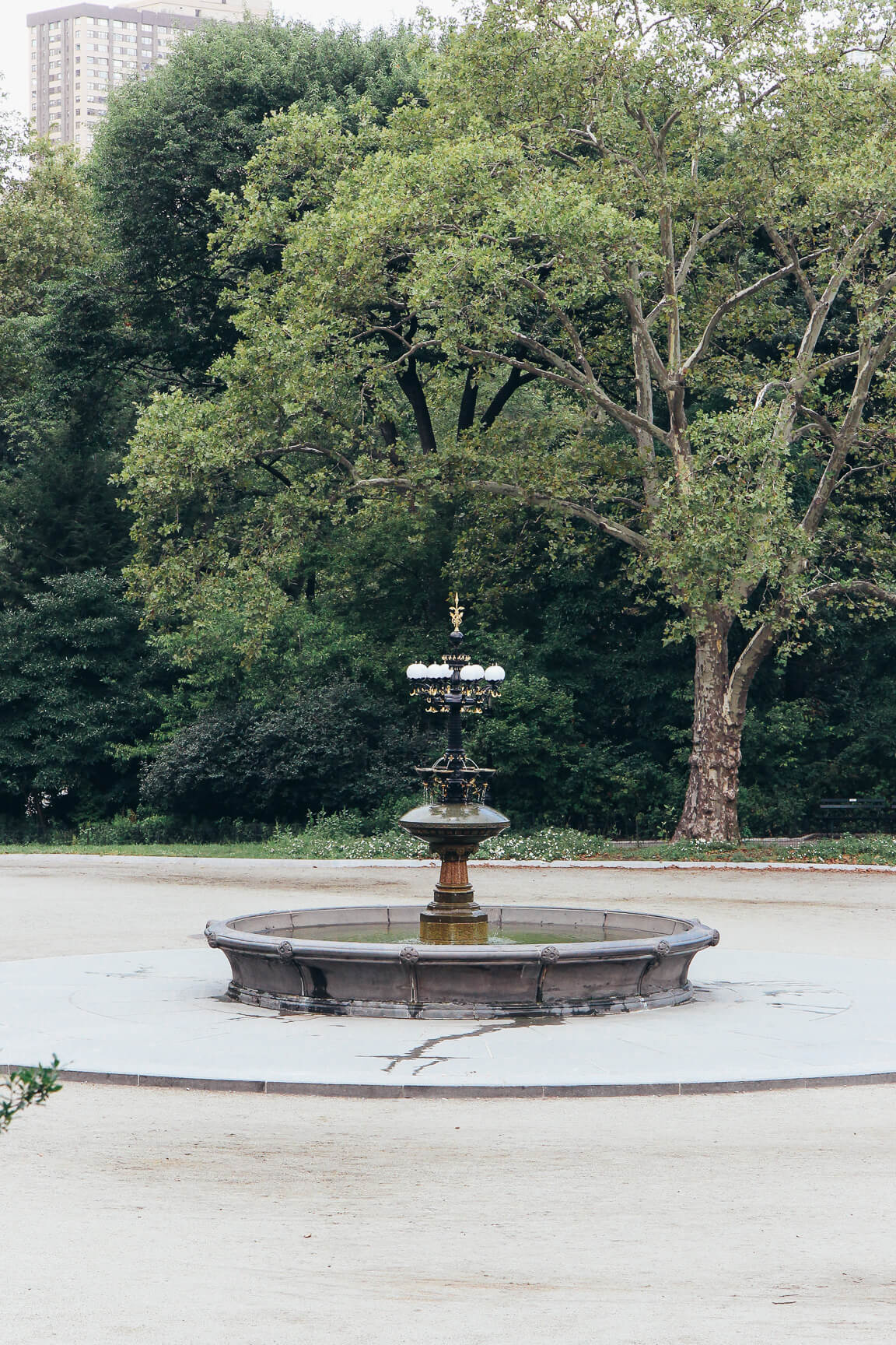 Central Park Cherry Hill