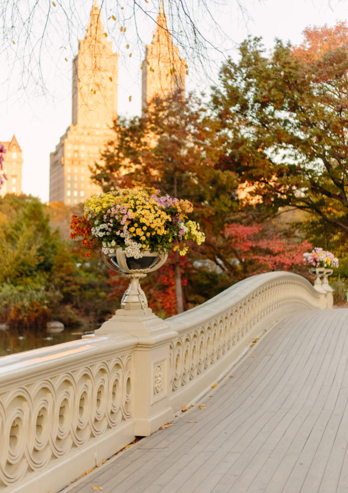 Photo Essays: The Bow Bridge in Autumn