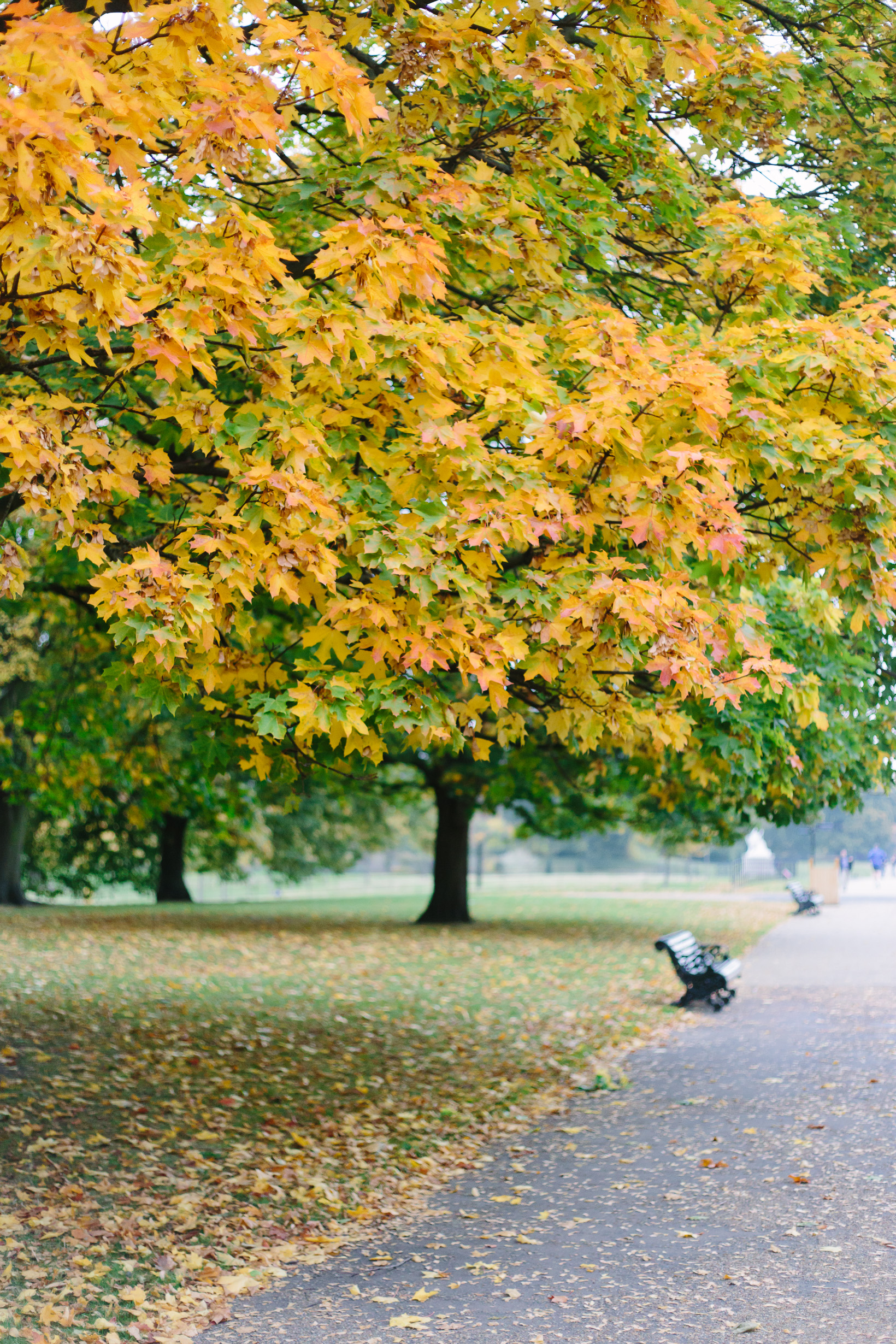 fall-in-hyde-park-london-4108