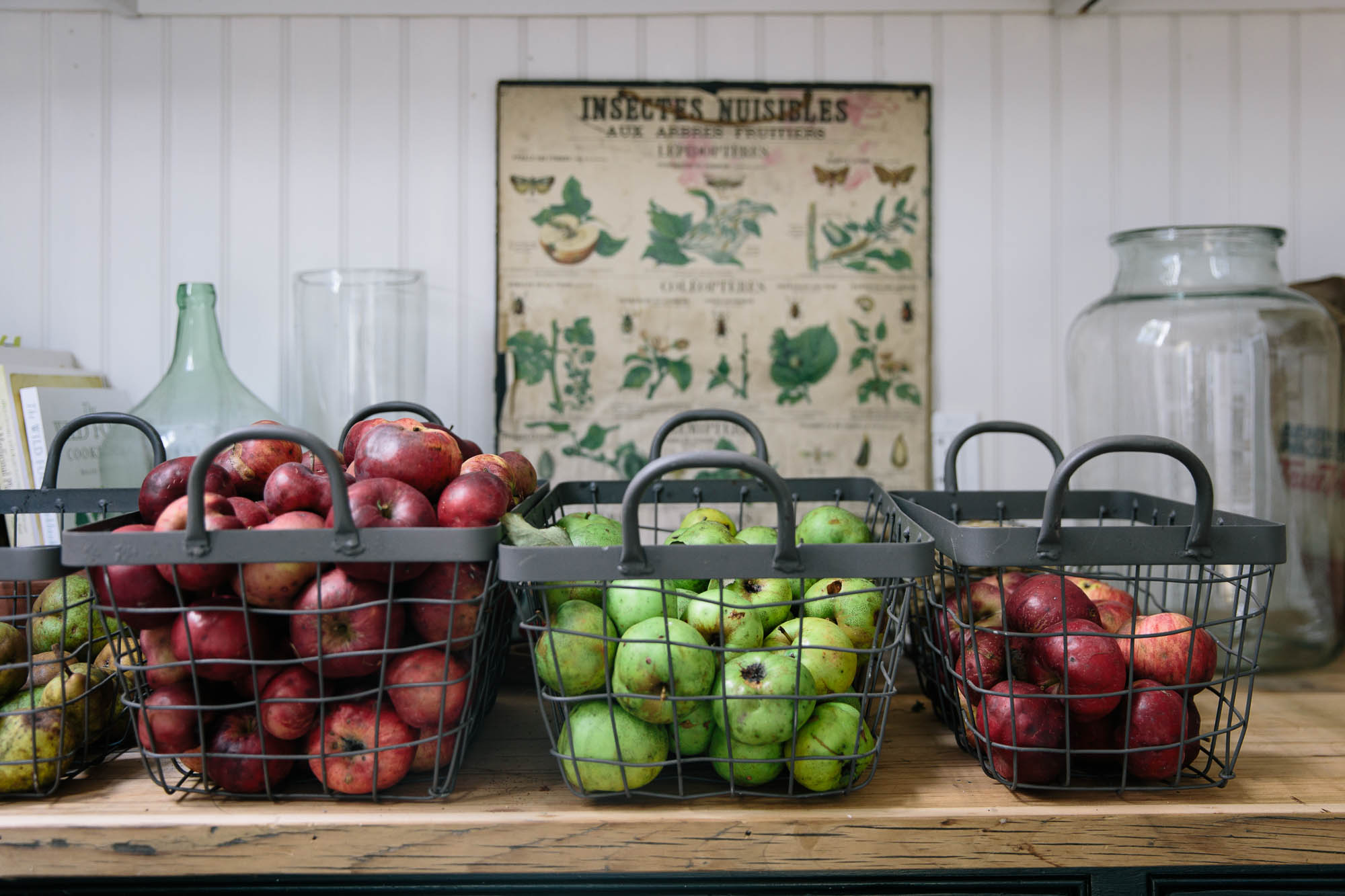 Baskets of red and green apples