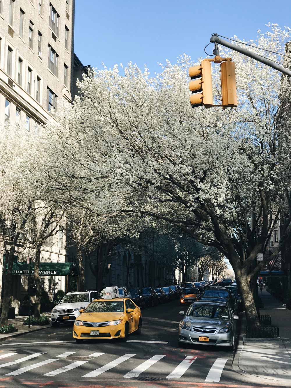 Things to Do in Upper East Side New York City featured by top New York City blog, York Avenue