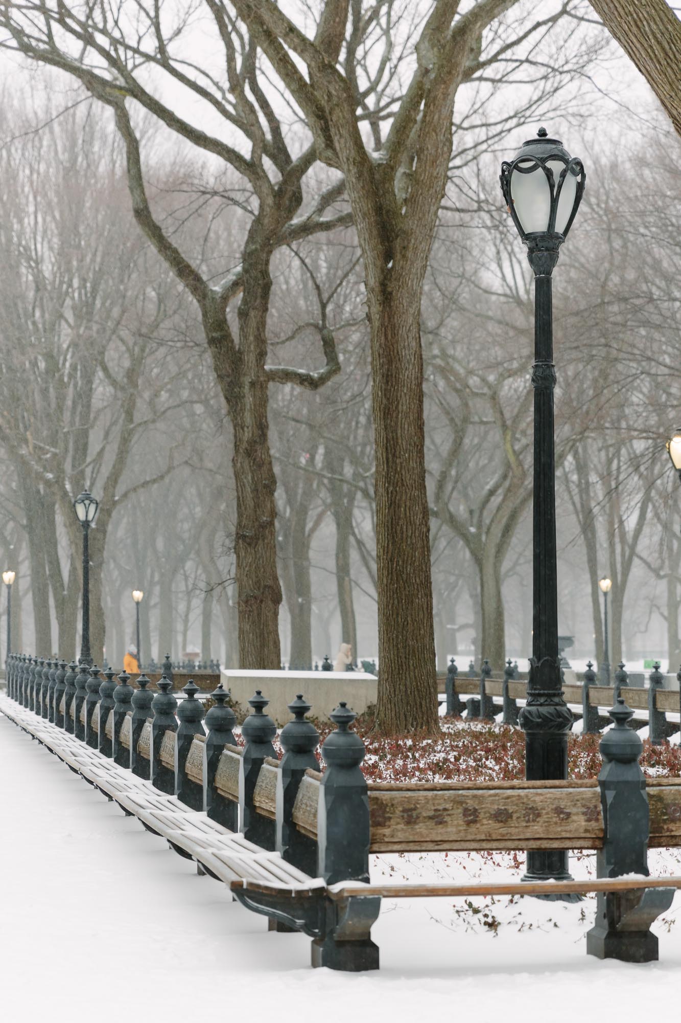 Snow in Central Park featured by top New York City blog York Avenue