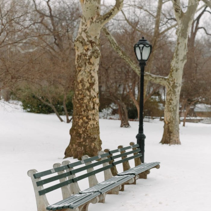 Snow in Central Park featured by top New York City blog York Avenue