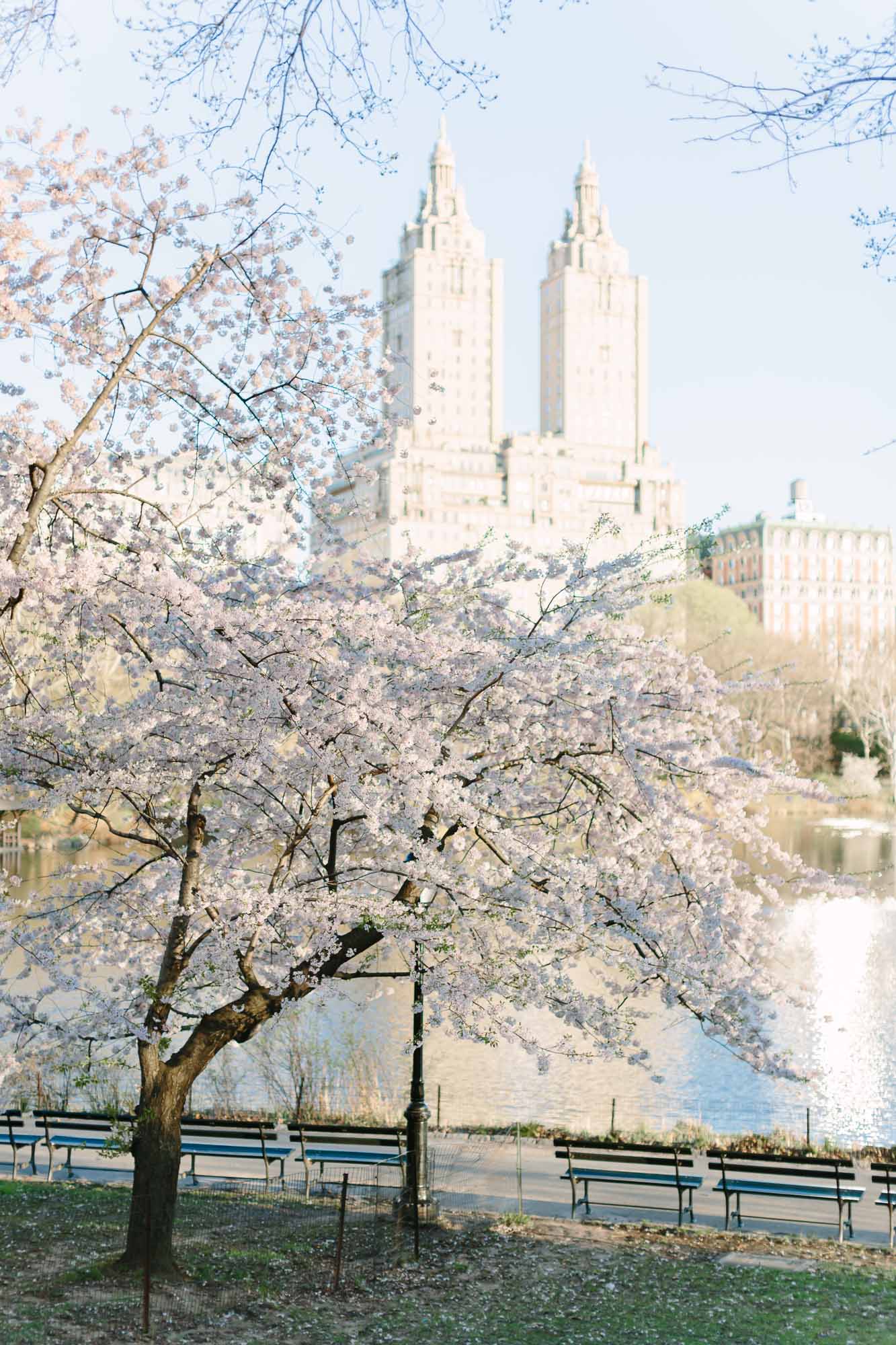 Spring in New York City featured by top New York City blog York Avenue